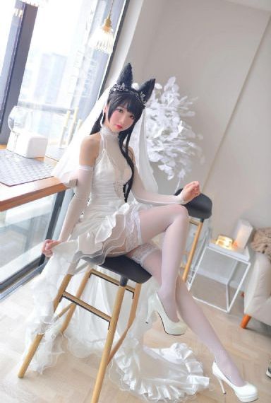 黑猫的疼爱方法动画免费全部
